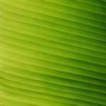 iStock_000008673591Medium.jpg