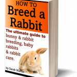 Book Cover - How To Breed A Rabbit