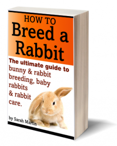 Book Cover - How To Breed A Rabbit