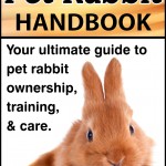 Book Cover - Pet Rabbit